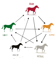 Acupressuur en paarden schema