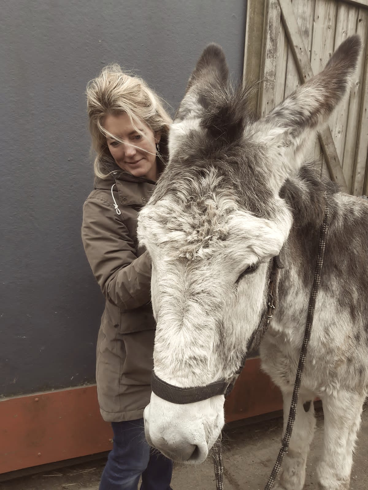 Margriet Lenting-Kroes holistisch therapeut voor paarden sinds 2009